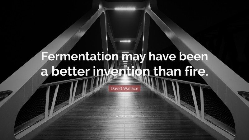David Wallace Quote: “Fermentation may have been a better invention than fire.”