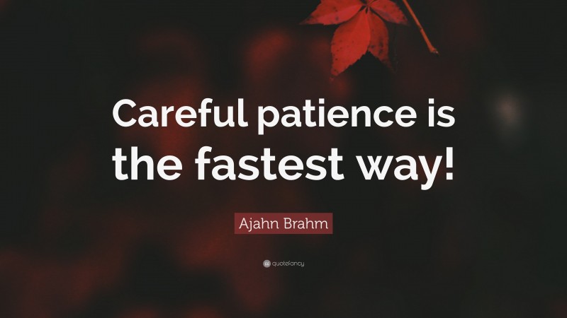 Ajahn Brahm Quote: “Careful patience is the fastest way!”