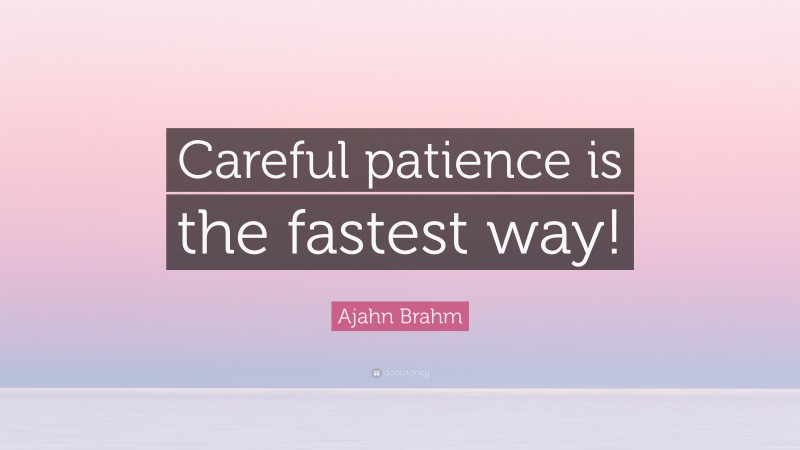Ajahn Brahm Quote: “Careful patience is the fastest way!”