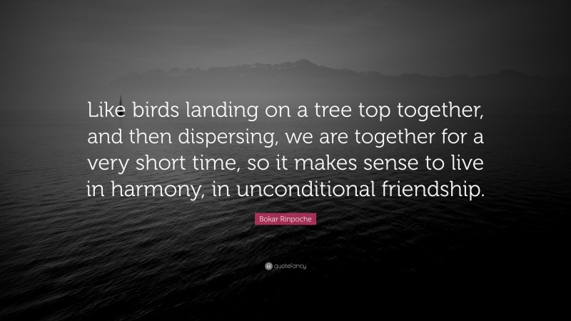 Bokar Rinpoche Quote: “Like birds landing on a tree top together, and then dispersing, we are together for a very short time, so it makes sense to live in harmony, in unconditional friendship.”