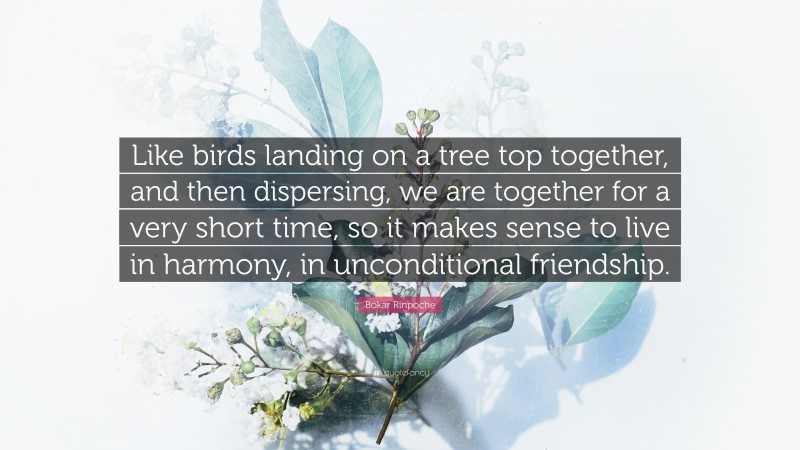 Bokar Rinpoche Quote: “Like birds landing on a tree top together, and then dispersing, we are together for a very short time, so it makes sense to live in harmony, in unconditional friendship.”