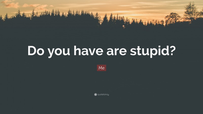 Me Quote: “Do you have are stupid?”