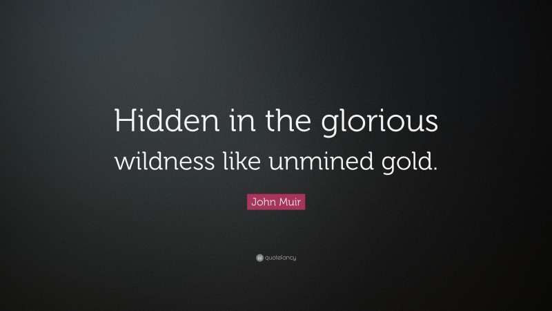 John Muir Quote: “Hidden in the glorious wildness like unmined gold.”