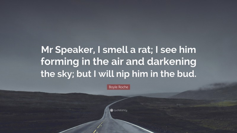 Boyle Roche Quote: “Mr Speaker, I smell a rat; I see him forming in the air and darkening the sky; but I will nip him in the bud.”