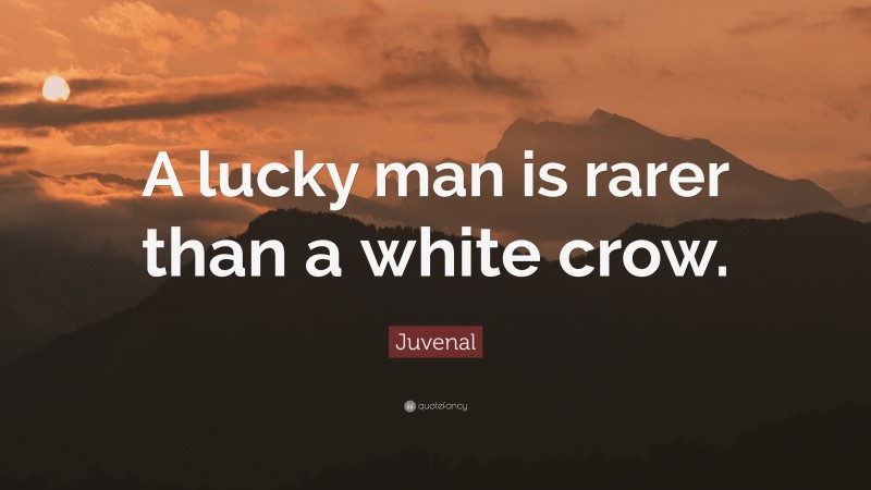 Juvenal Quote: “A lucky man is rarer than a white crow.”