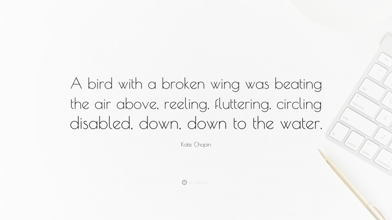 Kate Chopin Quote: “A bird with a broken wing was beating the air above, reeling, fluttering, circling disabled, down, down to the water.”