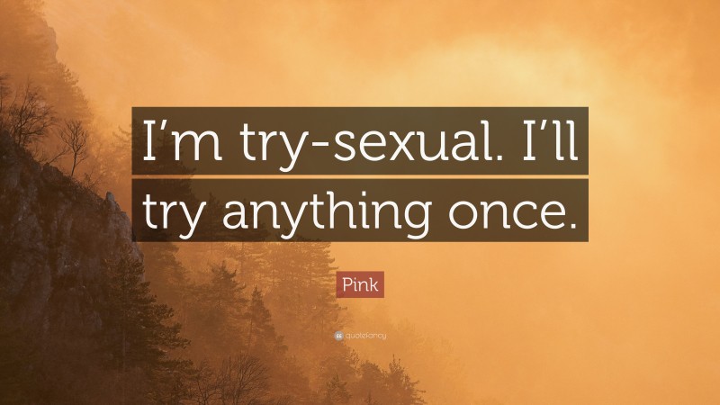 Pink Quote: “I’m try-sexual. I’ll try anything once.”