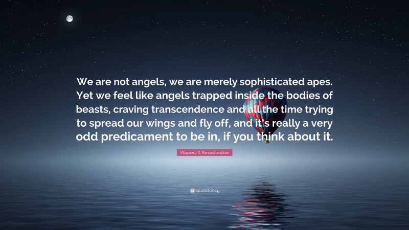 Vilayanur S. Ramachandran Quote: “We are not angels, we are merely sophisticated apes. Yet we feel like angels trapped inside the bodies of beasts, craving transcendence and all the time trying to spread our wings and fly off, and it’s really a very odd predicament to be in, if you think about it.”