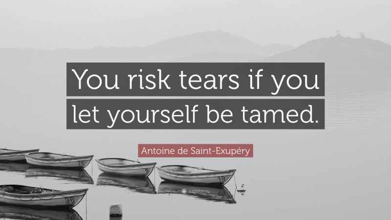 Antoine de Saint-Exupéry Quote: “You risk tears if you let yourself be tamed.”