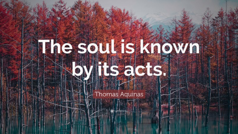 Thomas Aquinas Quote: “The soul is known by its acts.”