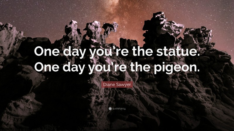 Diane Sawyer Quote: “One day you’re the statue. One day you’re the pigeon.”