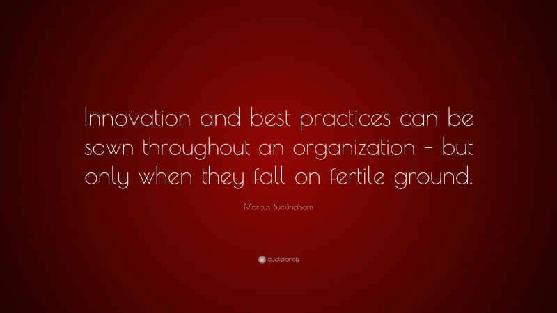 Marcus Buckingham Quote: “Innovation and best practices can be sown throughout an organization – but only when they fall on fertile ground.”
