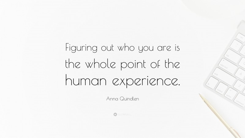 Anna Quindlen Quote: “Figuring out who you are is the whole point of the human experience.”