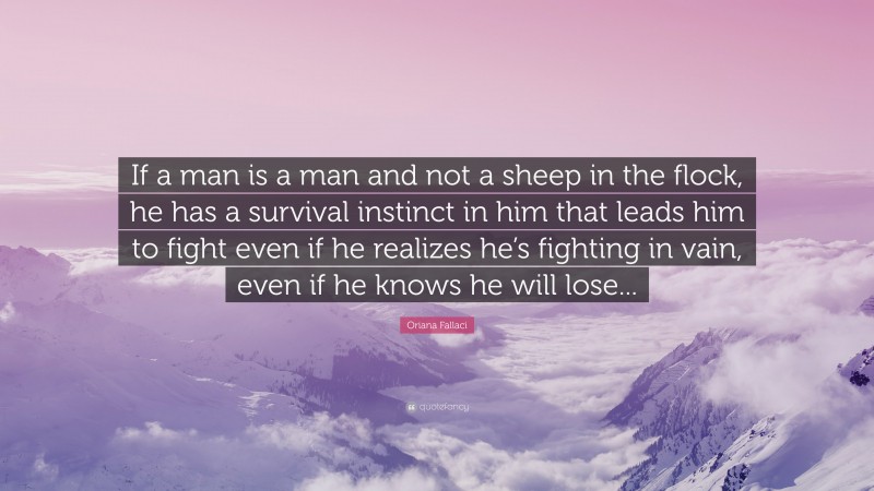 Oriana Fallaci Quote: “If a man is a man and not a sheep in the flock, he has a survival instinct in him that leads him to fight even if he realizes he’s fighting in vain, even if he knows he will lose...”