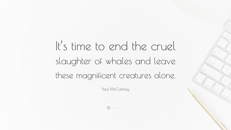 Paul McCartney Quote: “It’s time to end the cruel slaughter of whales and leave these magnificent creatures alone.”