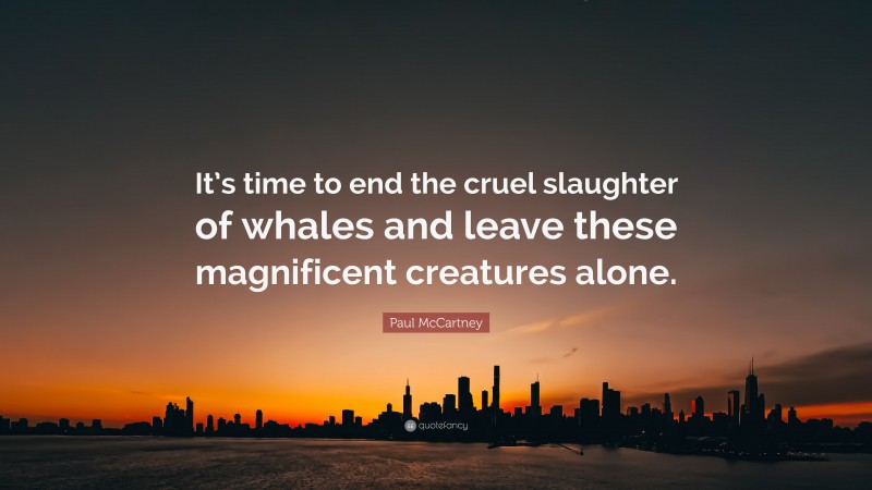 Paul McCartney Quote: “It’s time to end the cruel slaughter of whales and leave these magnificent creatures alone.”