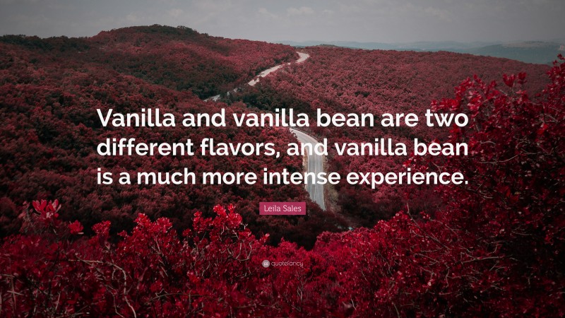 Leila Sales Quote: “Vanilla and vanilla bean are two different flavors, and vanilla bean is a much more intense experience.”