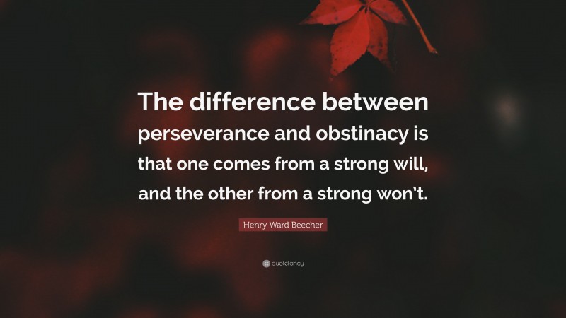 Henry Ward Beecher Quote: “The difference between perseverance and obstinacy is that one comes from a strong will, and the other from a strong won’t.”