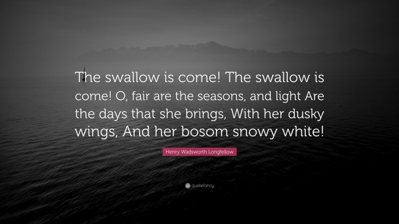 Henry Wadsworth Longfellow Quote: “The swallow is come! The swallow is come! O, fair are the seasons, and light Are the days that she brings, With her dusky wings, And her bosom snowy white!”