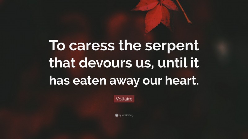 Voltaire Quote: “To caress the serpent that devours us, until it has eaten away our heart.”