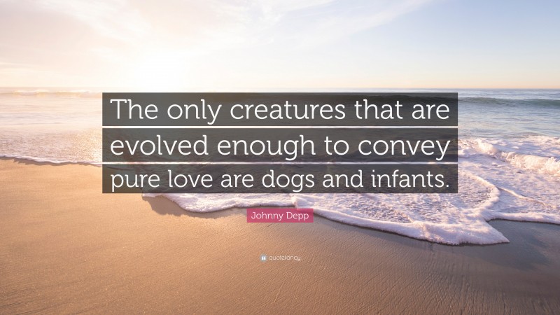 Johnny Depp Quote: “The only creatures that are evolved enough to convey pure love are dogs and infants.”