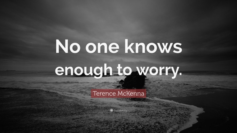 Terence McKenna Quote: “No one knows enough to worry.”