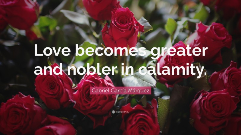 Gabriel Garcí­a Márquez Quote: “Love becomes greater and nobler in calamity.”