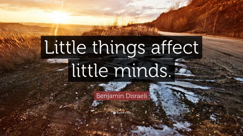 Benjamin Disraeli Quote: “Little things affect little minds.”