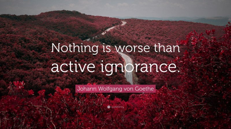 Johann Wolfgang von Goethe Quote: “Nothing is worse than active ignorance.”