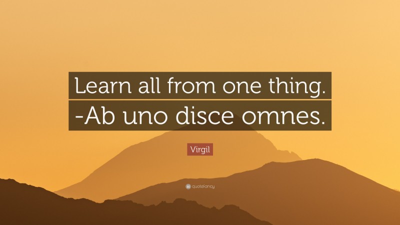 Virgil Quote: “Learn all from one thing. -Ab uno disce omnes.”