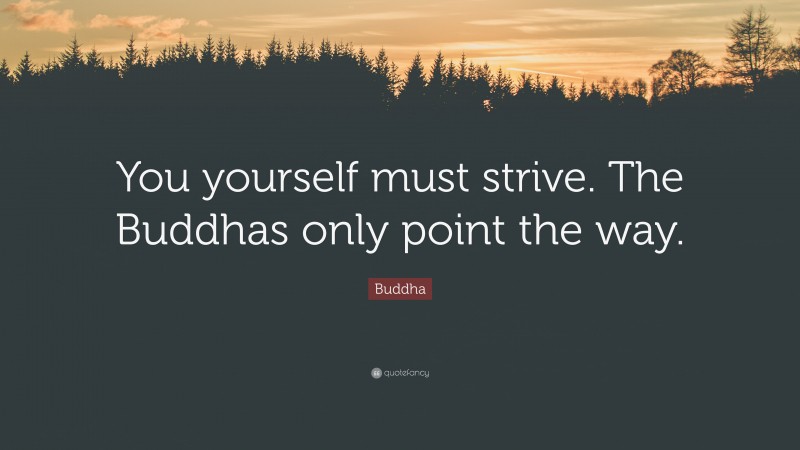 Buddha Quote: “You yourself must strive. The Buddhas only point the way.”
