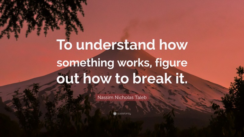 Nassim Nicholas Taleb Quote: “To understand how something works, figure out how to break it.”