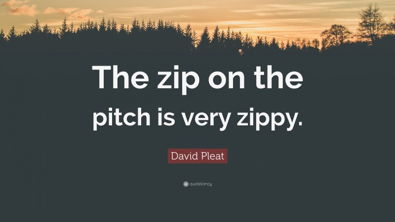 David Pleat Quote: “The zip on the pitch is very zippy.”