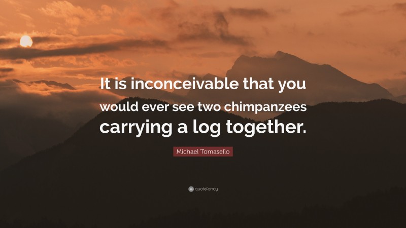 Michael Tomasello Quote: “It is inconceivable that you would ever see two chimpanzees carrying a log together.”
