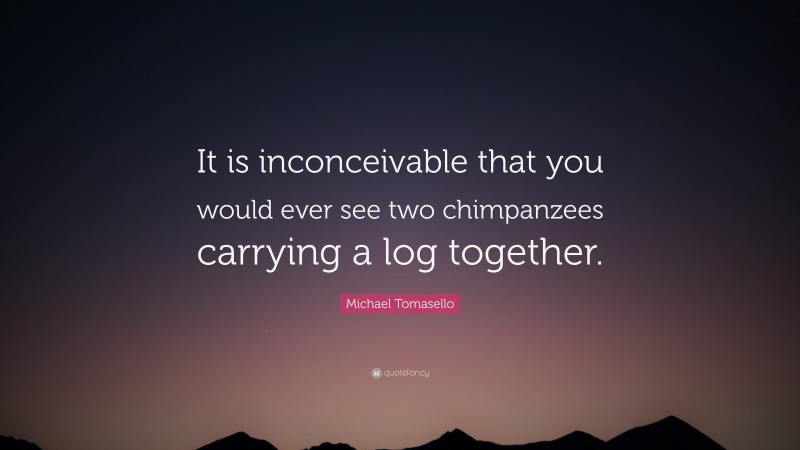 Michael Tomasello Quote: “It is inconceivable that you would ever see two chimpanzees carrying a log together.”