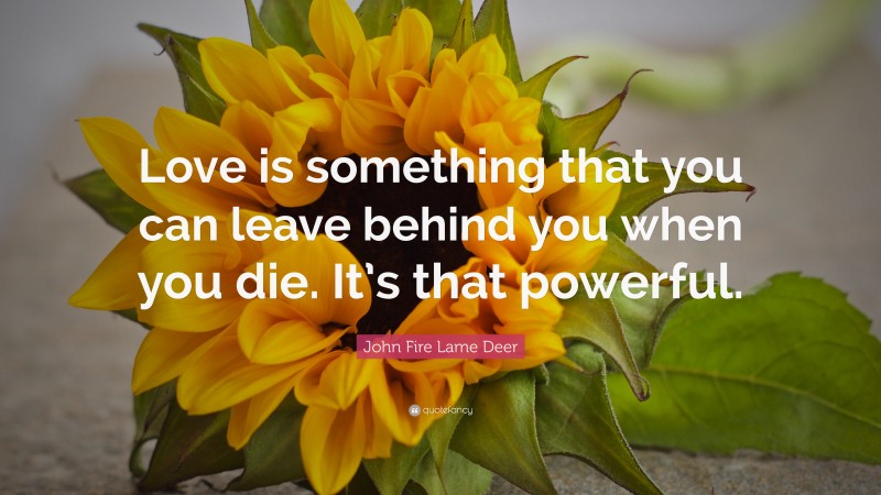 John Fire Lame Deer Quote: “Love is something that you can leave behind you when you die. It’s that powerful.”