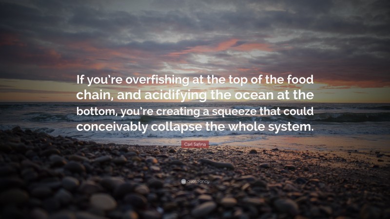 Carl Safina Quote: “If you’re overfishing at the top of the food chain, and acidifying the ocean at the bottom, you’re creating a squeeze that could conceivably collapse the whole system.”