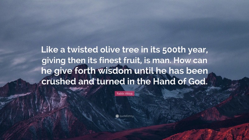 Rabbi Akiva Quote: “Like a twisted olive tree in its 500th year, giving then its finest fruit, is man. How can he give forth wisdom until he has been crushed and turned in the Hand of God.”