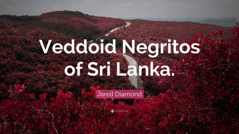 Jared Diamond Quote: “Veddoid Negritos of Sri Lanka.”