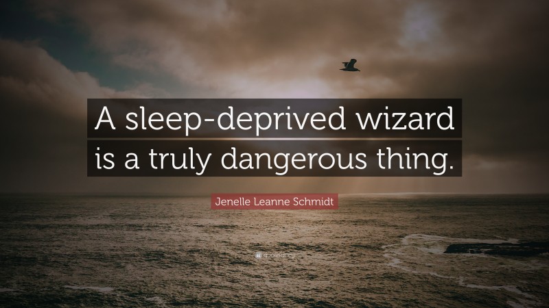 Jenelle Leanne Schmidt Quote: “A sleep-deprived wizard is a truly dangerous thing.”