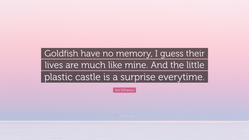 Ani DiFranco Quote: “Goldfish have no memory, I guess their lives are much like mine. And the little plastic castle is a surprise everytime.”