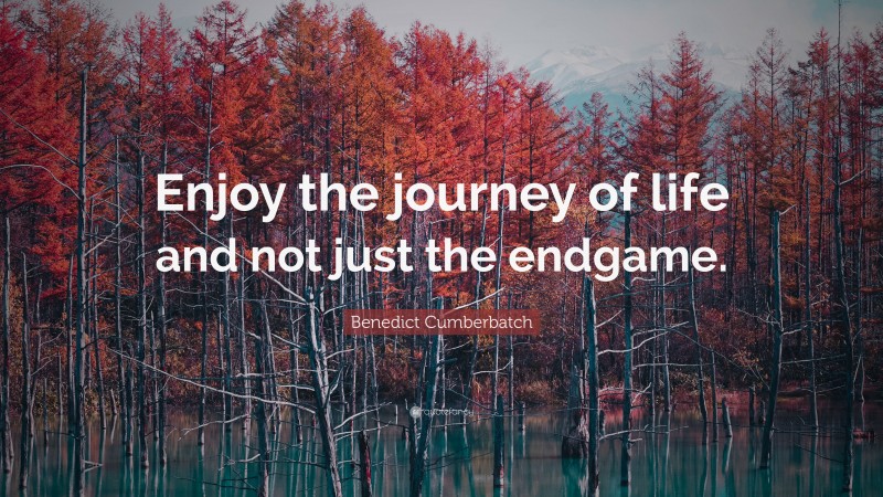 Benedict Cumberbatch Quote: “Enjoy the journey of life and not just the endgame.”