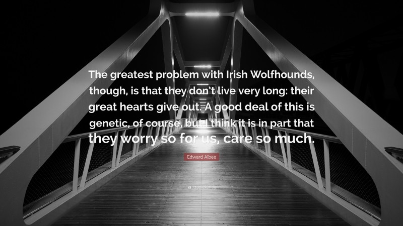 Edward Albee Quote: “The greatest problem with Irish Wolfhounds, though, is that they don’t live very long: their great hearts give out. A good deal of this is genetic, of course, but I think it is in part that they worry so for us, care so much.”