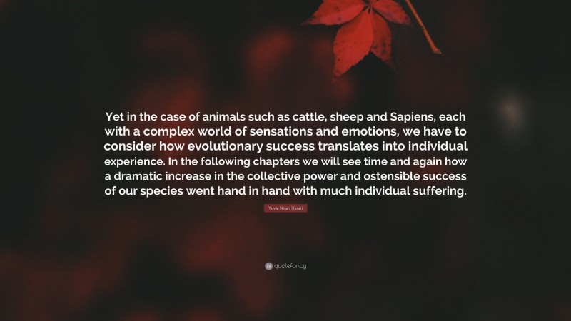 Yuval Noah Harari Quote: “Yet in the case of animals such as cattle, sheep and Sapiens, each with a complex world of sensations and emotions, we have to consider how evolutionary success translates into individual experience. In the following chapters we will see time and again how a dramatic increase in the collective power and ostensible success of our species went hand in hand with much individual suffering.”