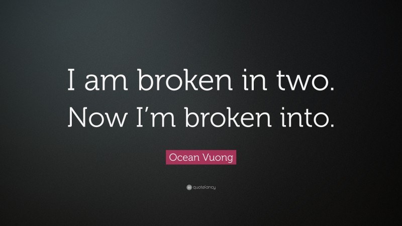 Ocean Vuong Quote: “I am broken in two. Now I’m broken into.”