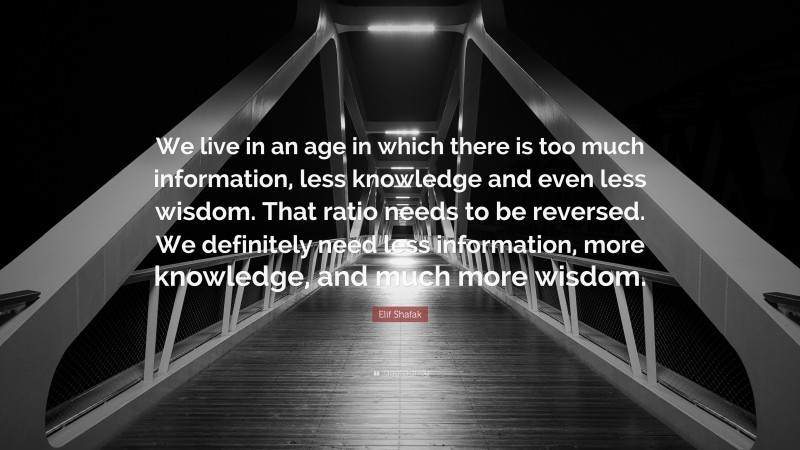Elif Shafak Quote: “We live in an age in which there is too much information, less knowledge and even less wisdom. That ratio needs to be reversed. We definitely need less information, more knowledge, and much more wisdom.”