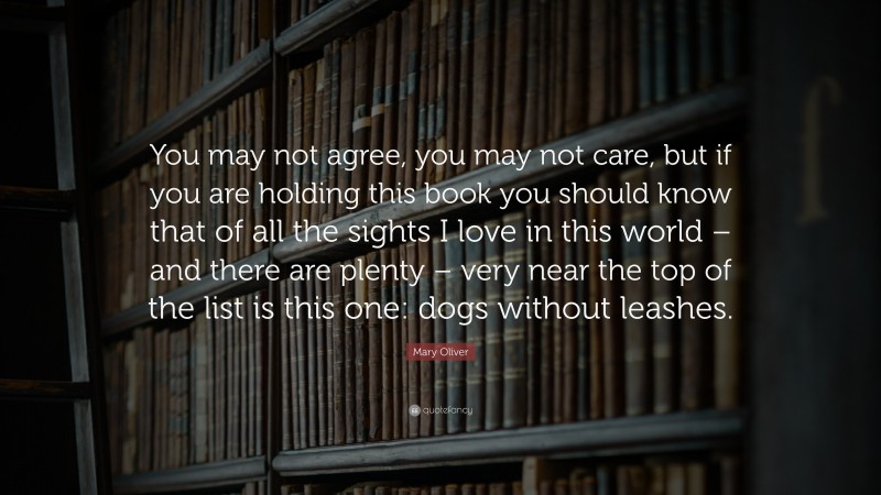 Mary Oliver Quote: “You may not agree, you may not care, but if you are holding this book you should know that of all the sights I love in this world – and there are plenty – very near the top of the list is this one: dogs without leashes.”