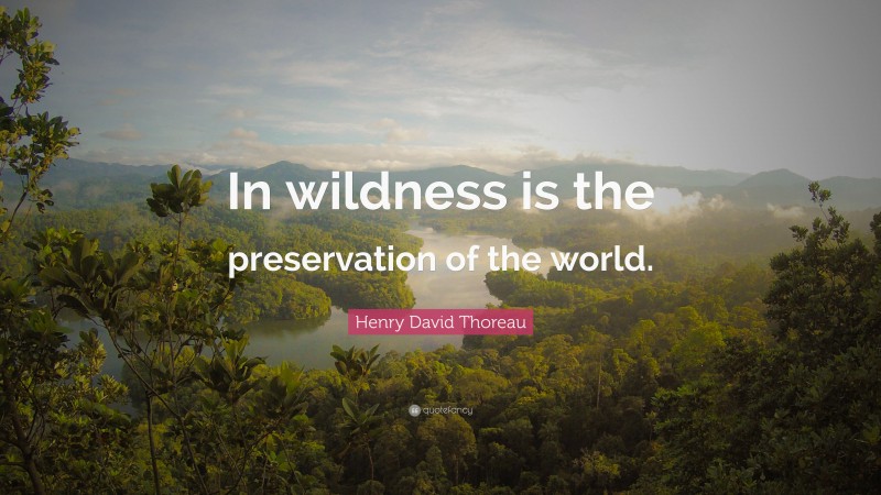 Henry David Thoreau Quote: “In wildness is the preservation of the world.”