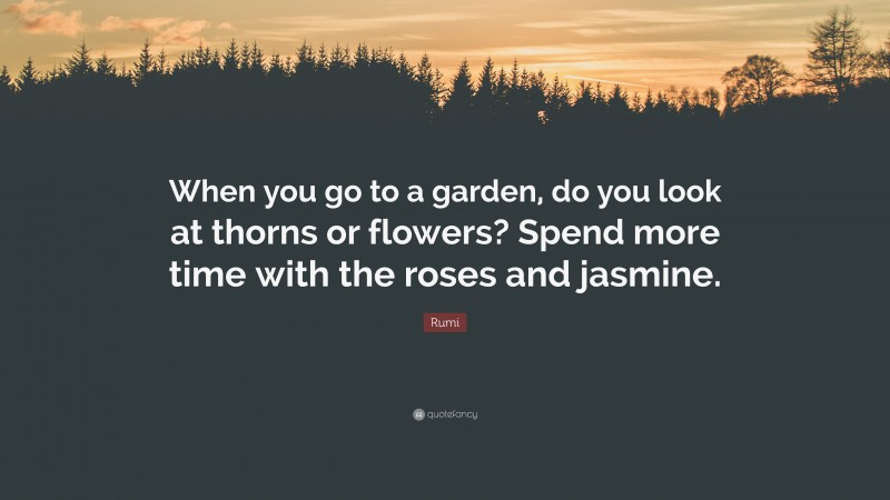 Rumi Quote: “When you go to a garden, do you look at thorns or flowers? Spend more time with the roses and jasmine.”