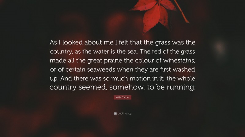Willa Cather Quote: “As I looked about me I felt that the grass was the country, as the water is the sea. The red of the grass made all the great prairie the colour of winestains, or of certain seaweeds when they are first washed up. And there was so much motion in it; the whole country seemed, somehow, to be running.”